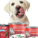 Canned 12