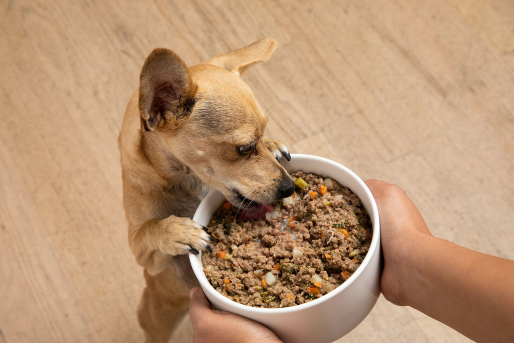 homemade dog food for pancreatitis