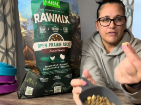 dogsfoodreviews.com