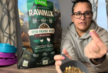 dogsfoodreviews.com